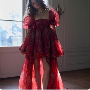 Selkie ornament fairytale Elegant Red Evening Gown